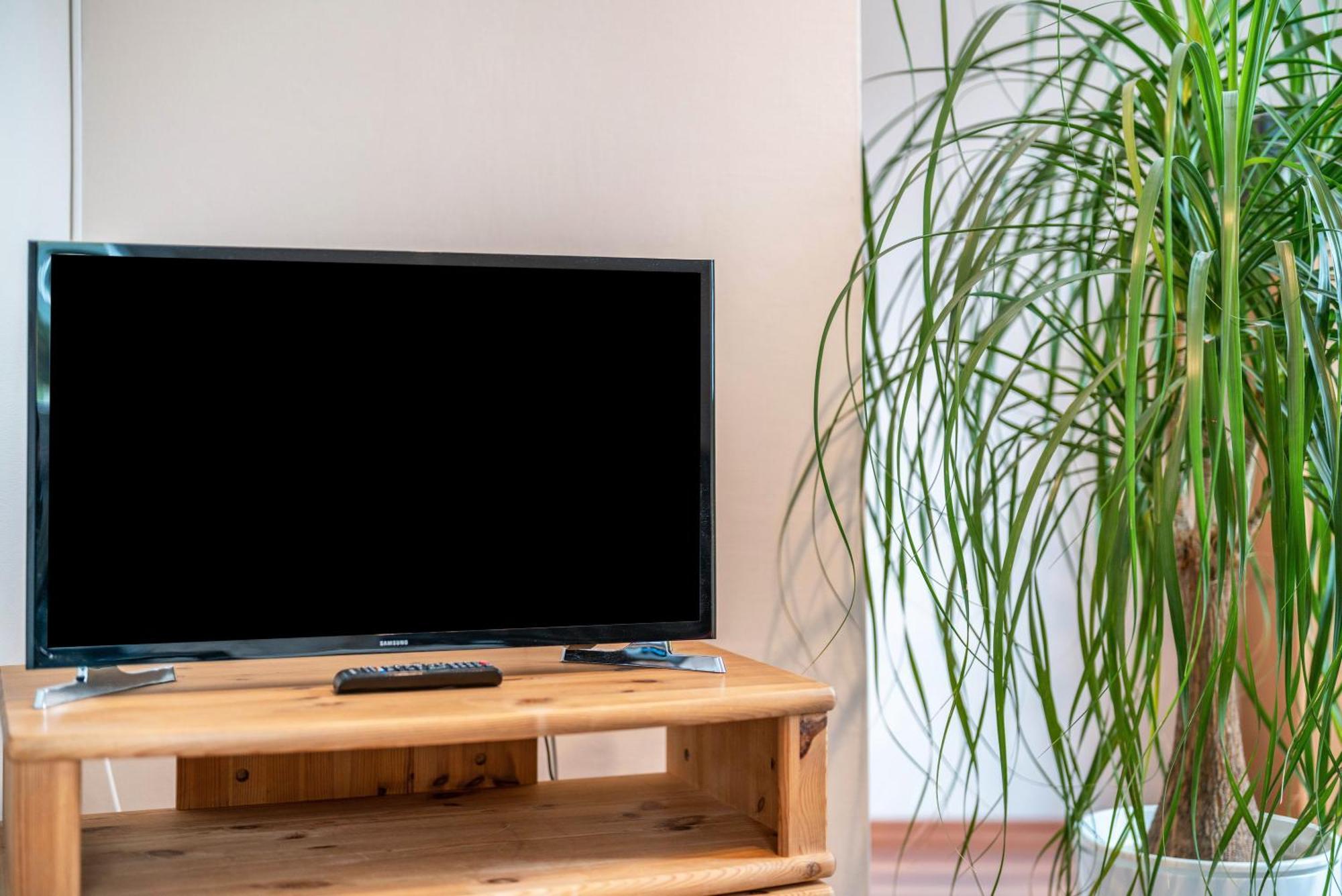 Ferienwohnung Burgblick Hausach Zewnętrze zdjęcie